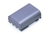 ケンコー デジタルカメラ用バッテリー C-#1006 キヤノン用 NB-2L対応の画像