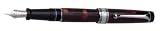 Aurora Optima - Auroloide Burgundy Extra Fine Point Fountain Pen - AU-996CX-EF