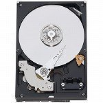WESTERN DIGITAL 3.5�C���`����HDD 640GB Serial-ATA3.0Gb 7200rpm 16MB WD6400AAKS