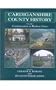 Cardiganshire in Modern Times (University of Wales Press - Cardiganshire County History) (v. 3)