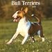 Bull Terriers 2009 Calendar, 12x12