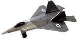 F-22 Raptor