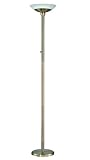 Lite Source LS-80953AB Lenci Fluorescent Torch Floor Lamp
