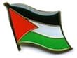 Palestine - National Lapel Pins