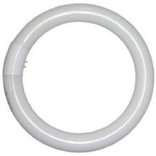 Lights of America 2630B Replacement Bulb For Circleline Adapter from Light Bulbs