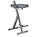 QuikLok D739 Height-Adjustable Musician's Stool