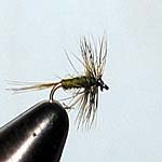 Midge Size: 20; Color: Olive