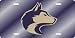 Washington Huskies Purple Laser Cut License Plate - SET OF 6 - Sports Merchandise