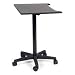 Norman Air Cushioned Posing Table with Adjustable Height from 27 to 43.