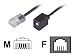 Bleil Reduzier-Adapter, RJ45(8p4c)-Stecker-RJ11(6p4c)-Buchse, Kabel: 4-adrig, flach und schwarz, 0,15 m