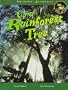 Up a Rainforest Tree (Amazing Journeys)