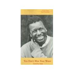 You Don't Miss Your Water: Poems