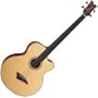 Dean Performer CE Fretless Acoustic-Electric Bass (Natural)