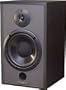 Tannoy PROTO-J Studio Monitor Speakers (pair)