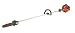 Outdoor Living : Tanaka Commercial Pole Chain Saw 10" TPS-250PF