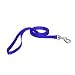 Aspen Pet 3/8 Single Ply Nylon Dog and Cat Leash