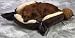 Canine Cushion Fleece Tie Dog Bed