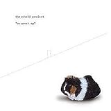 Brummer Ep [12" VINYL]