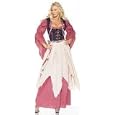 Pirate Wench/barmaid Costume Appare