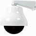 Electronics : Large Dome Dummy Camera in Outdoor Housing w ith LED Light