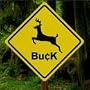 Buck