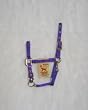 Hamilton Deluxe 3/4" Nylon Horse Halter with Adjustable Chin and Snap, Purple, Weanling/Large Pony (200-300 lbs)