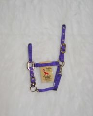Hamilton Halter Company 3das2-3 Weanl Chin Haltr Prp