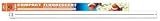 Shopzeus USA zeusd1-EPST-1254192 96watt Compact Flo 10000k Square Pin Bulb 34 Inch