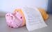Lucid Dream Pillow, Herbal