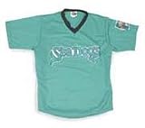 MInor League Baseball Portland Sea Dogs V Neck Adult Jersey - B000A13614