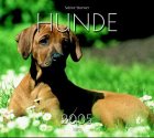 Hunde 2009