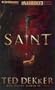 Saint (Paradise Series, Book 2) (The Books of History Chronicles)