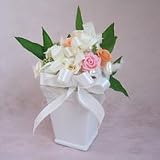 �y���j���E�L�O���E�a�����E�t�����[�M�t�g�E�o���z 6�����܂�̕��ɑ���I�^��F�̃o���̃A�����W�����g�i�v���U�[�u�h�t�����[�j