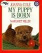 My Puppy Is Born