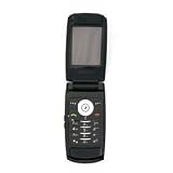Samsung D830 80 MB Unlocked Cell Phone with 2 MP Camera, 3G, MP3/Video Player, MicroSD--International Version with No Warranty (Black)