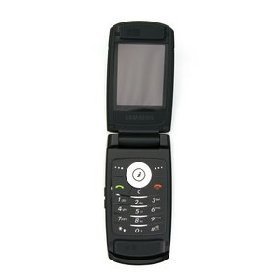 Samsung D830 80 MB Unlocked Cell Phone with 2 MP Camera, 3G, MP3/Video Player, MicroSD--International Version with No Warranty (Black)