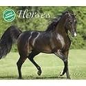Horses 2009 Deluxe Wall Calendar
