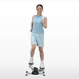 エアロライフ サイドステッパー DR-3865