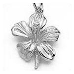 Hibiscus Charm