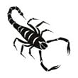 Scorpion Temporary Tattoo 2x2