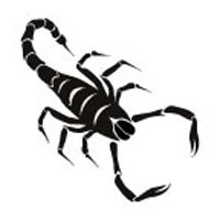 Scorpion Temporary Tattoo 2x2