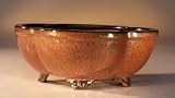 Bonsai Boy's Round Petal Shape - Glazed Aztec Orange<br>8.25x6.5x3.25