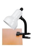 Adjustable Student Clip-On Desk Lamp- White