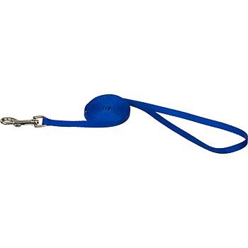 LI'L PALS 6 Foot Dog Leash Blue with a Width of 5 16 in.