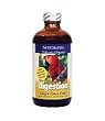Digestion - Ginger Honey Tonic - 4 oz - Liquid Digestion - Ginger Honey Tonic - 4 oz - Liquid