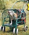Green Original Pet Stroller SUV