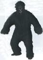 Gorilla Suit