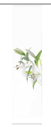 Home Fashion 86403-768 Schiebevorhang Digitaldruck "Tivoli", Dekostoff 245 x 60 cm