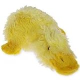 Multipet Webster the Daddy of the Duckworth Clan (Assorted colors. Let us choose for you. - 14L x 9W)