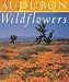 Book Audubon Wildflowers Calendar: 2000